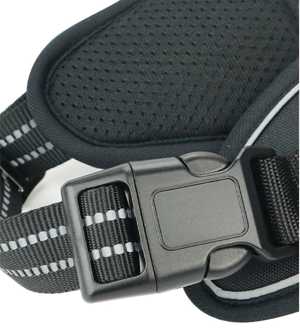 Durable Waterproof Pet Harness with Vertical Handle